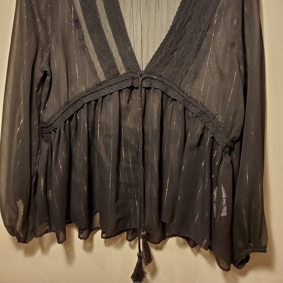 Zara sheer black blouse with gold threading - Picture 3 of 6